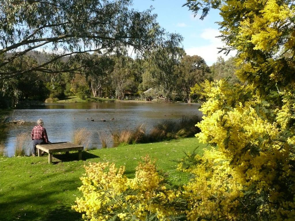The Burrow At Wombat Bend Βίλα Dixons Creek Δωμάτιο φωτογραφία