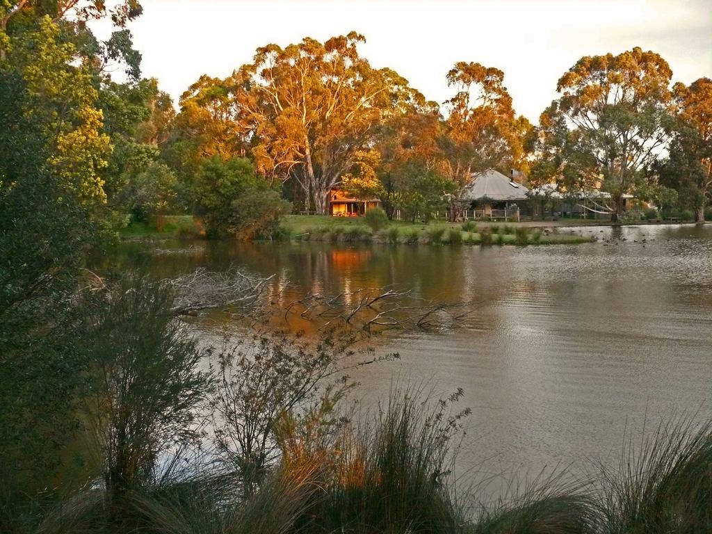 The Burrow At Wombat Bend Βίλα Dixons Creek Δωμάτιο φωτογραφία