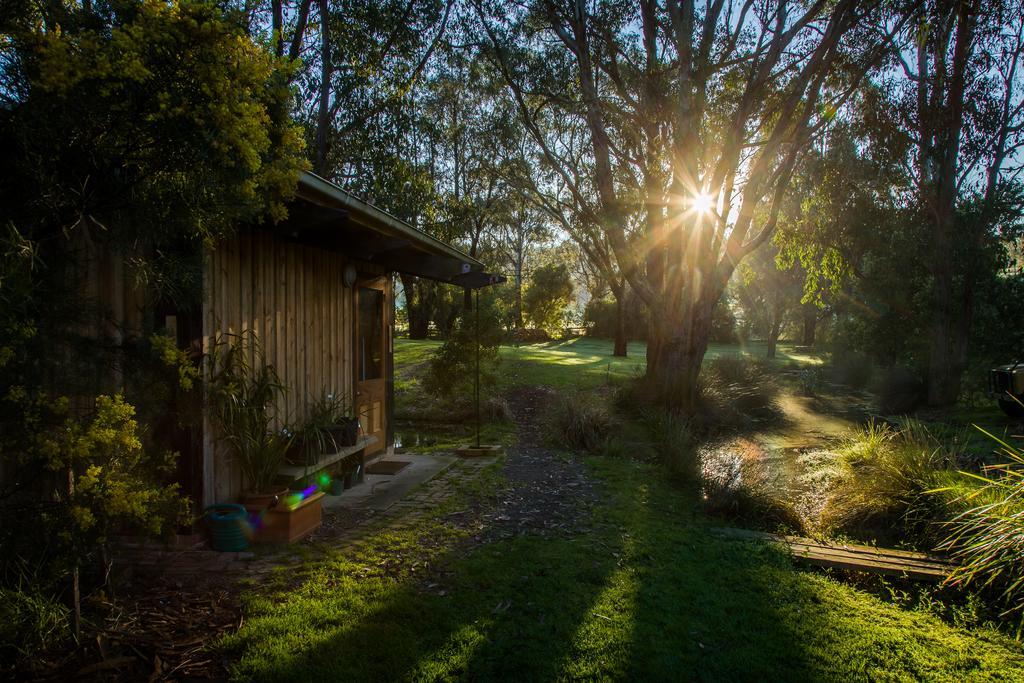 The Burrow At Wombat Bend Βίλα Dixons Creek Εξωτερικό φωτογραφία