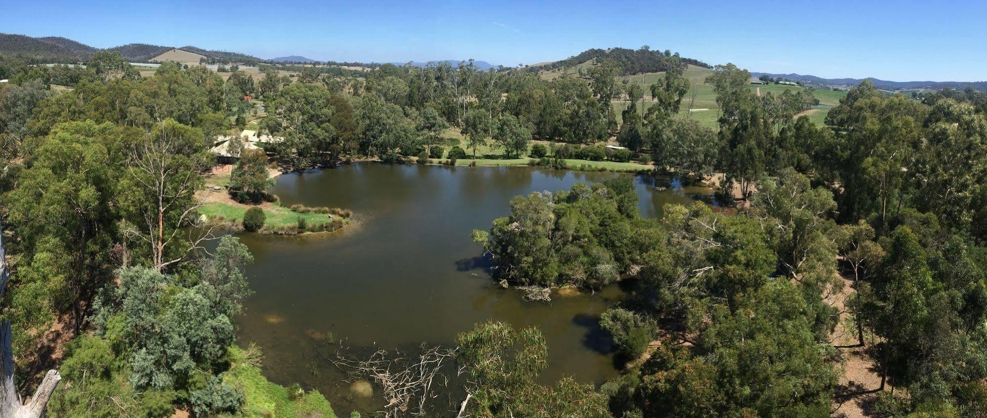 The Burrow At Wombat Bend Βίλα Dixons Creek Εξωτερικό φωτογραφία