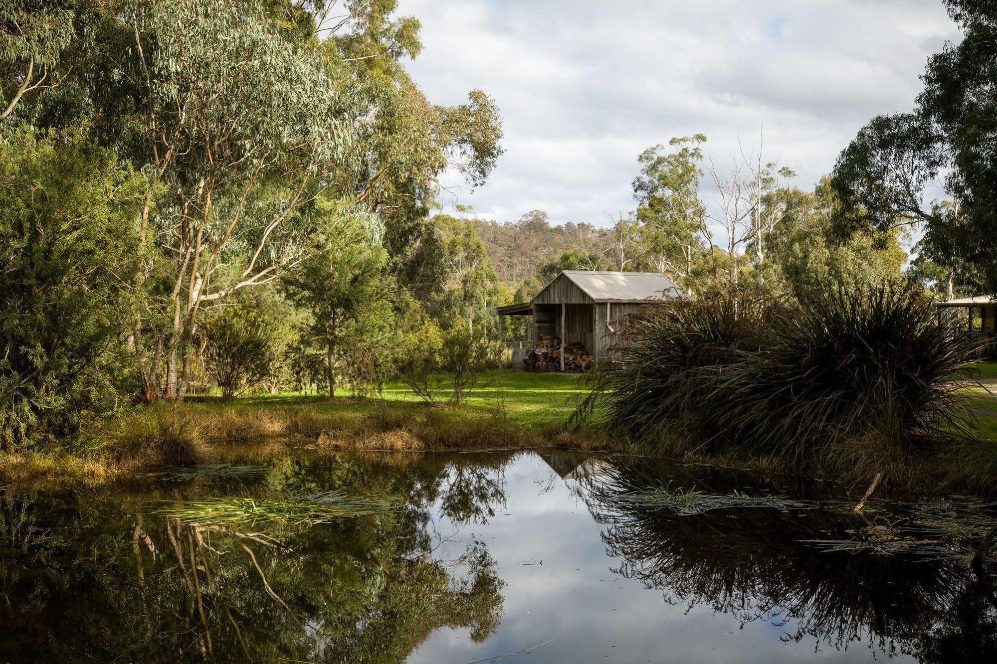 The Burrow At Wombat Bend Βίλα Dixons Creek Εξωτερικό φωτογραφία