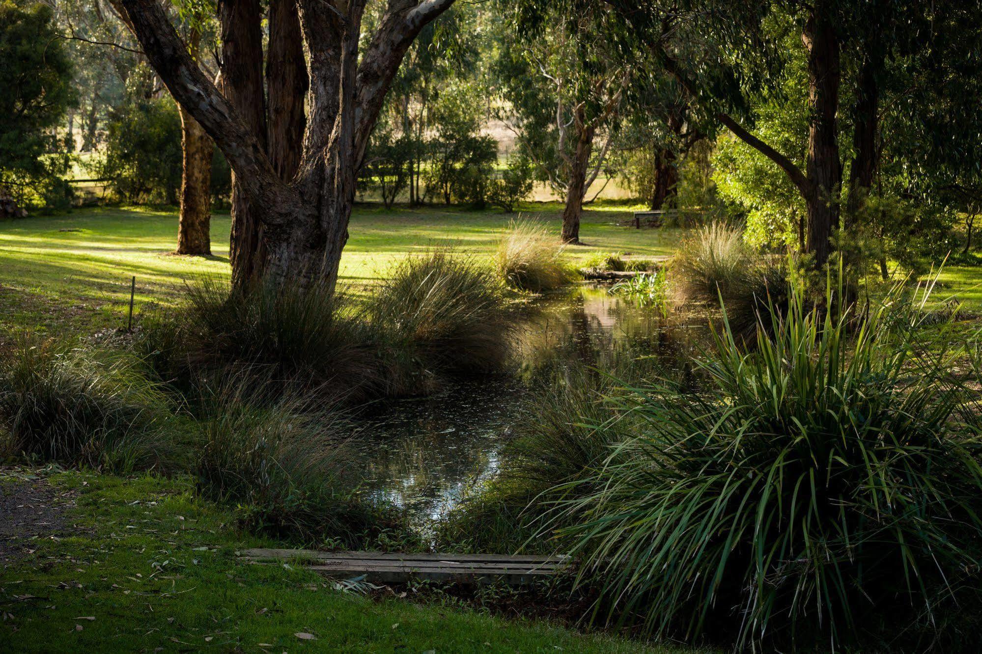 The Burrow At Wombat Bend Βίλα Dixons Creek Εξωτερικό φωτογραφία
