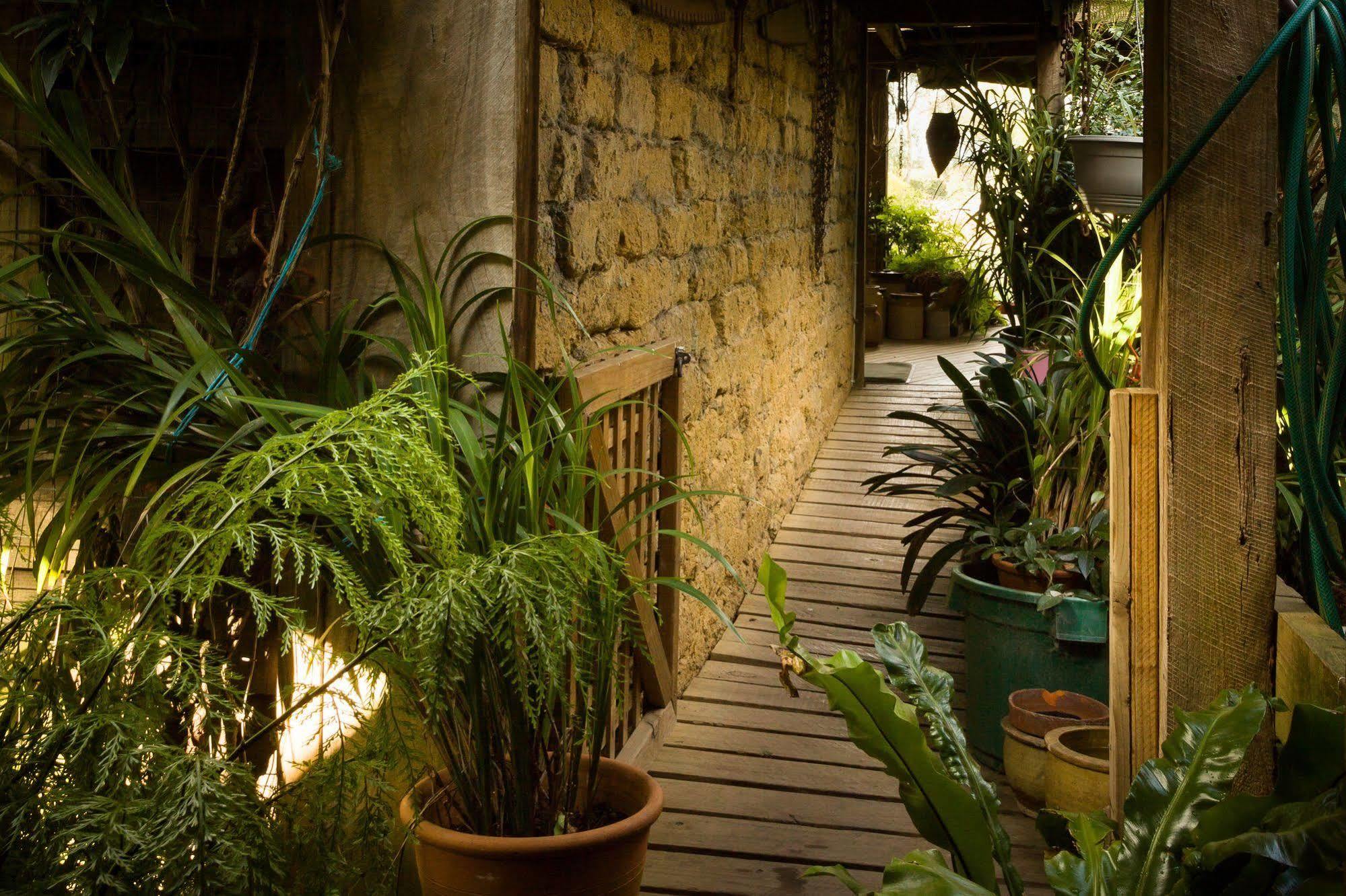 The Burrow At Wombat Bend Βίλα Dixons Creek Εξωτερικό φωτογραφία