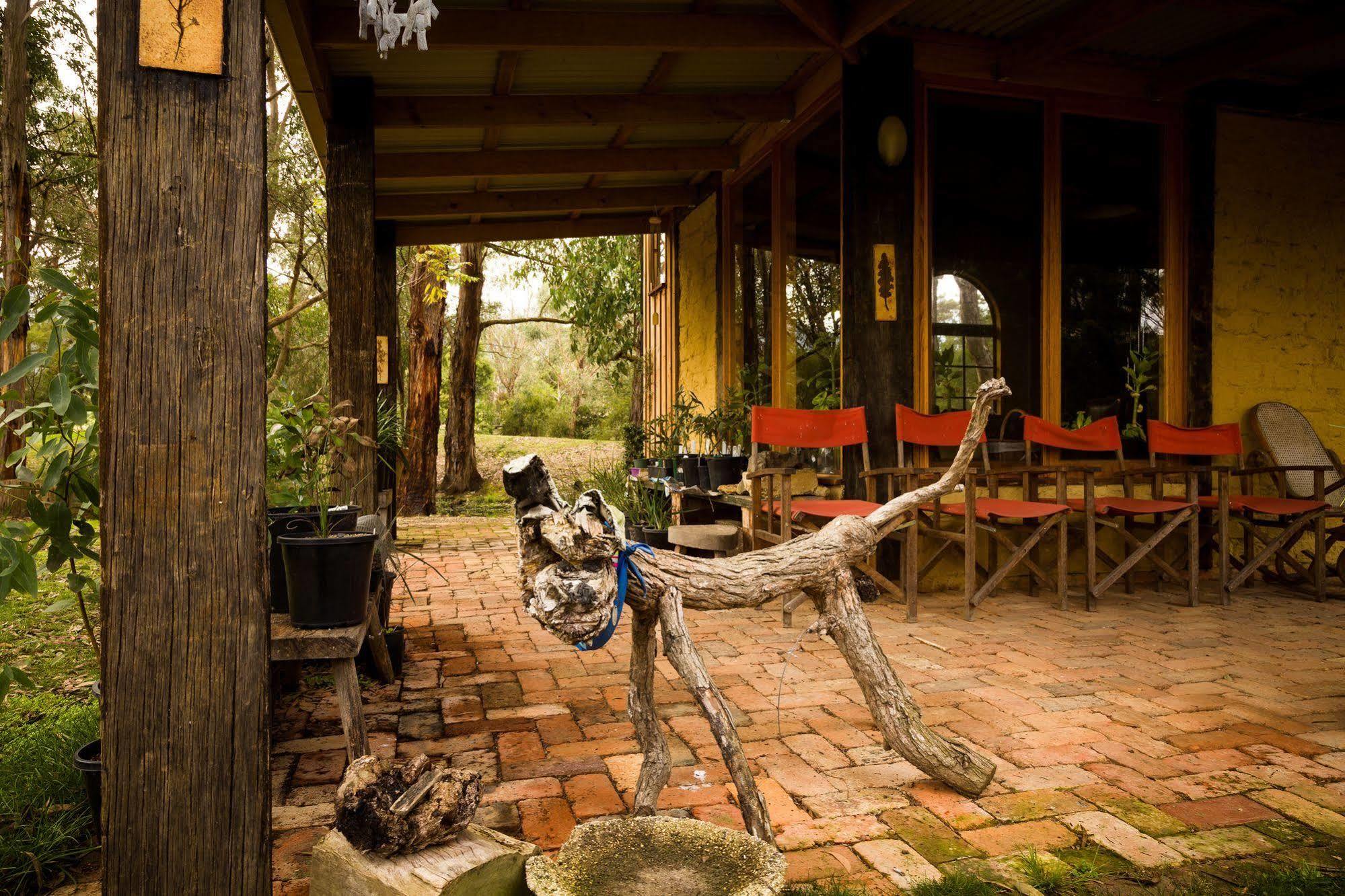 The Burrow At Wombat Bend Βίλα Dixons Creek Εξωτερικό φωτογραφία