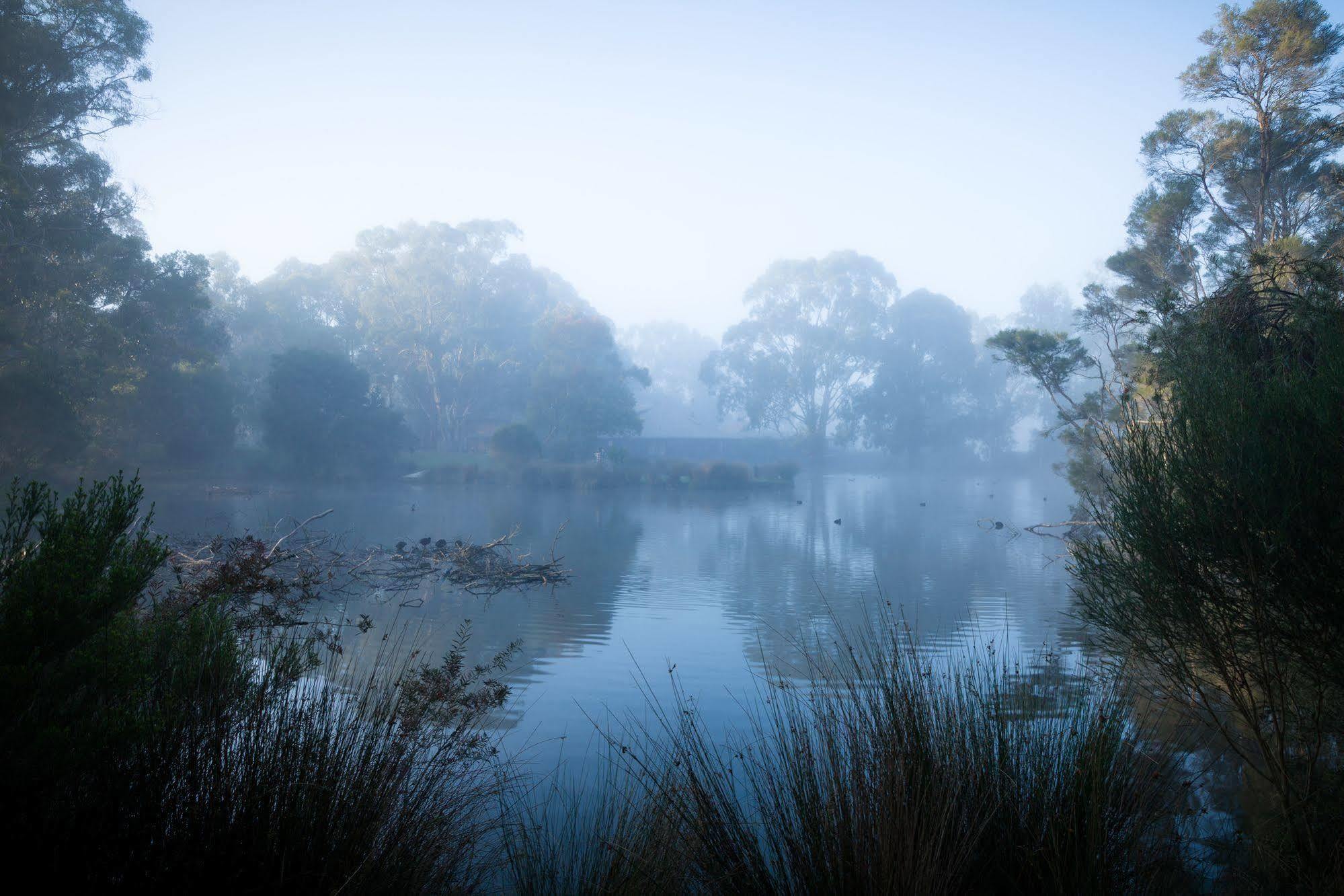 The Burrow At Wombat Bend Βίλα Dixons Creek Εξωτερικό φωτογραφία