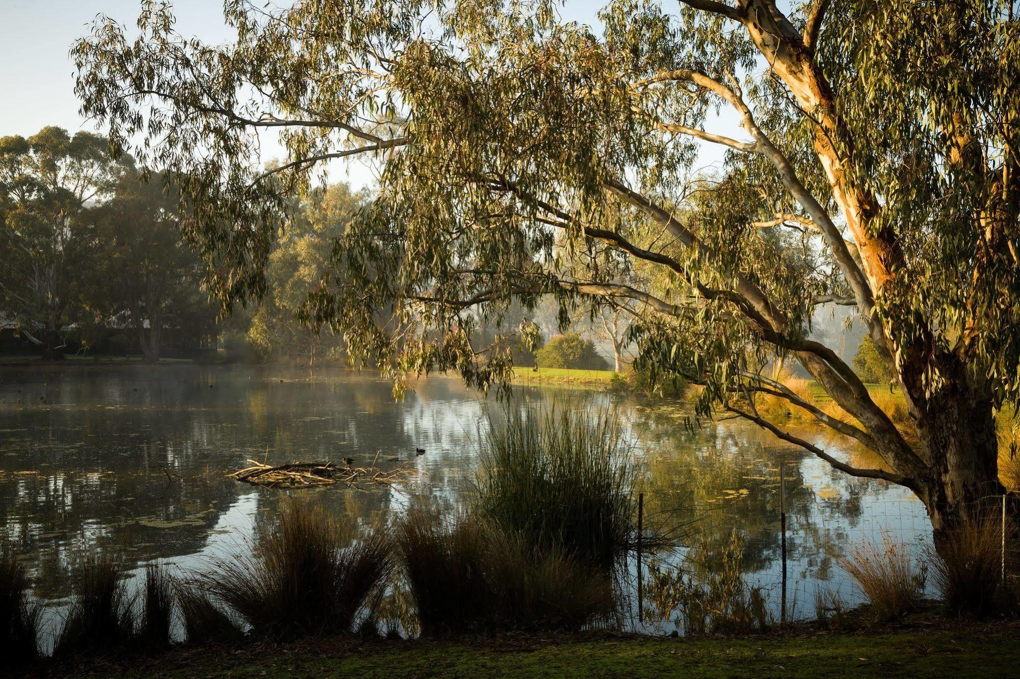 The Burrow At Wombat Bend Βίλα Dixons Creek Εξωτερικό φωτογραφία