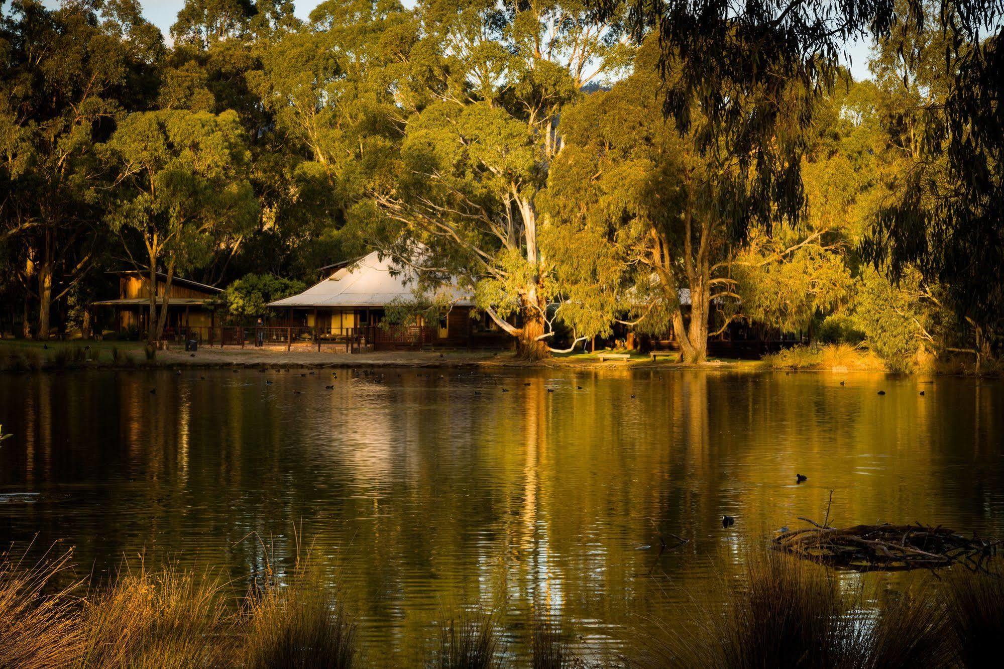 The Burrow At Wombat Bend Βίλα Dixons Creek Εξωτερικό φωτογραφία
